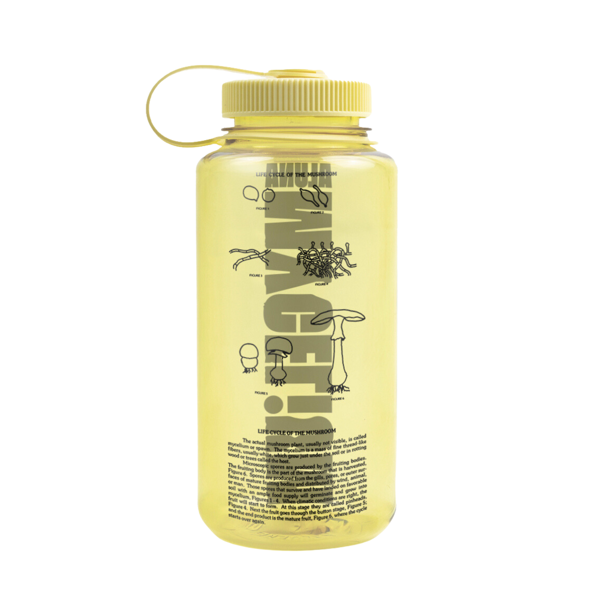 Aluna - MYCELiUM Water Bottle